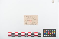 Etiketten zu Kugelkopfnadel (NHMW-PRAE-024171)